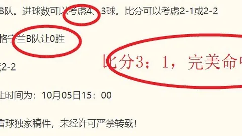 AI投资攻略新皇冠体育：中小企业的一招制胜策略